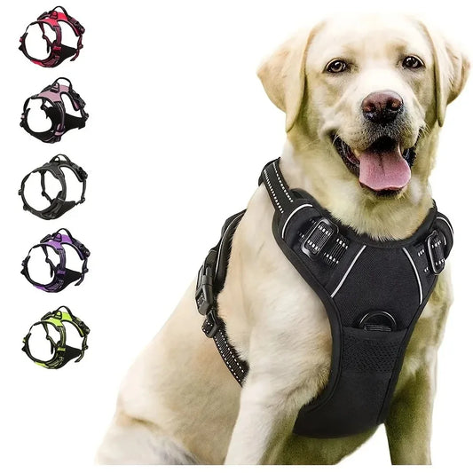 Dog Collars Harness S/M/L/XL