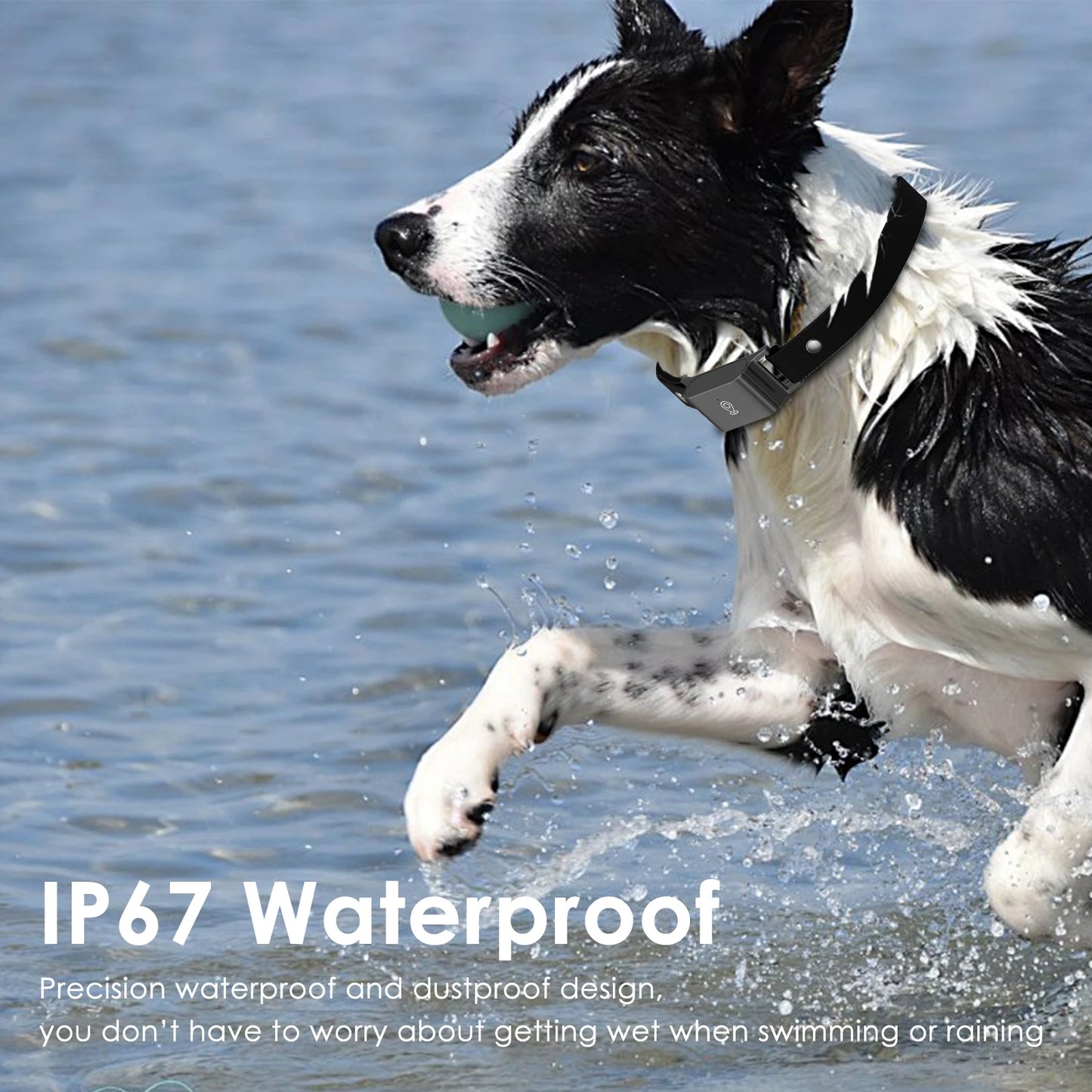 4G GPS Tracker for Your Precious Pet