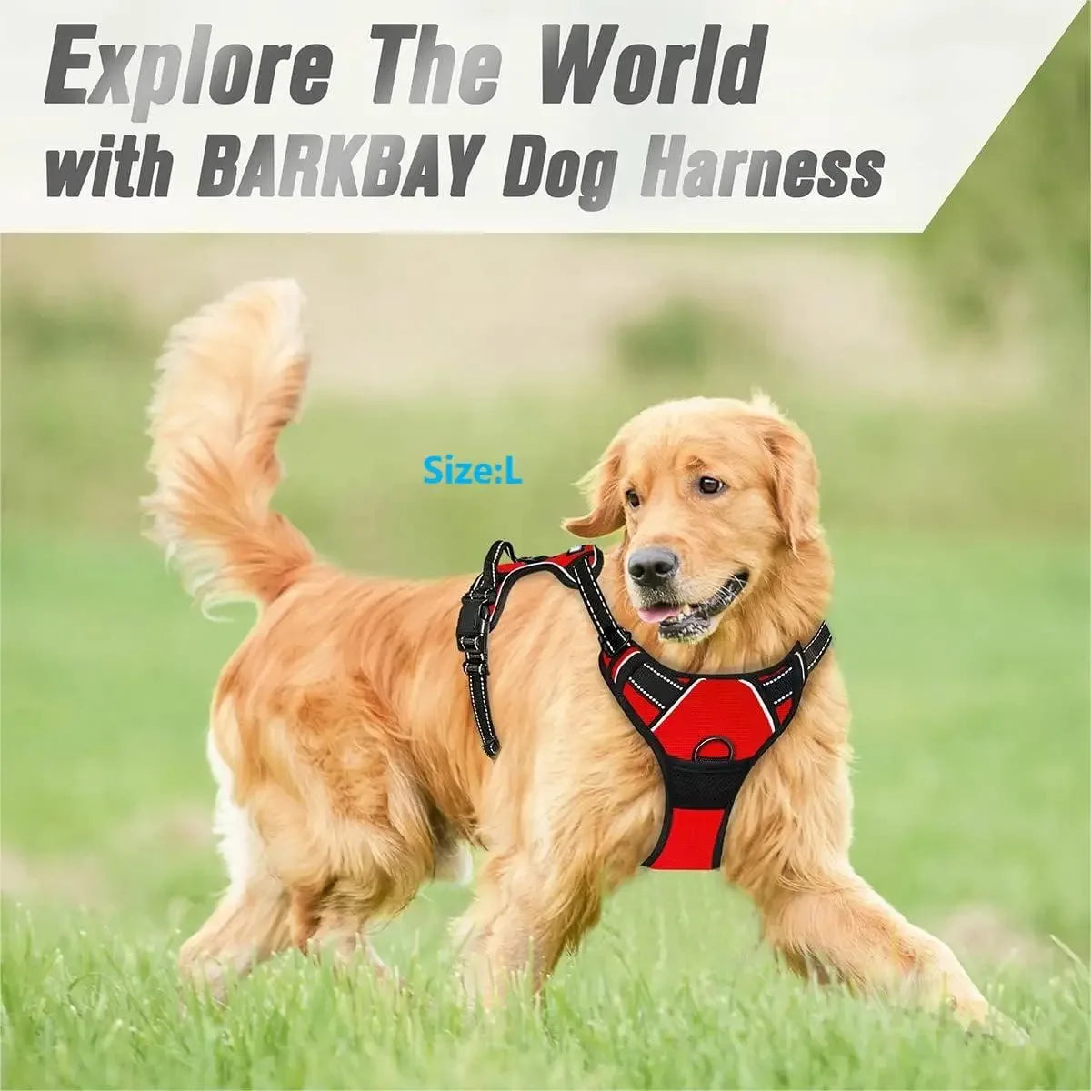 Dog Collars Harness S/M/L/XL