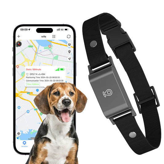 4G GPS Tracker for Your Precious Pet