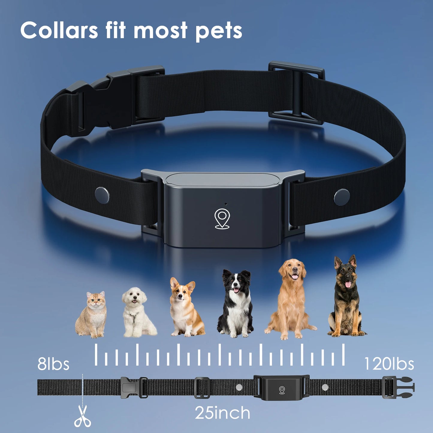 4G GPS Tracker for Your Precious Pet