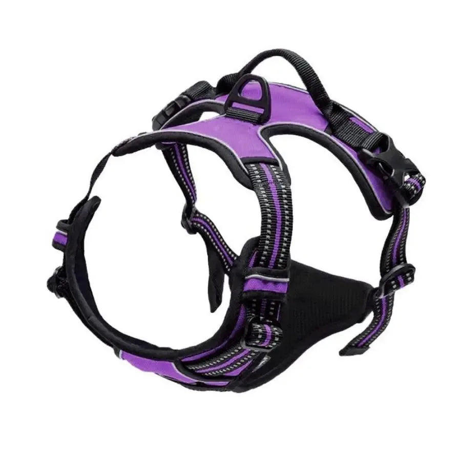 Dog Collars Harness S/M/L/XL