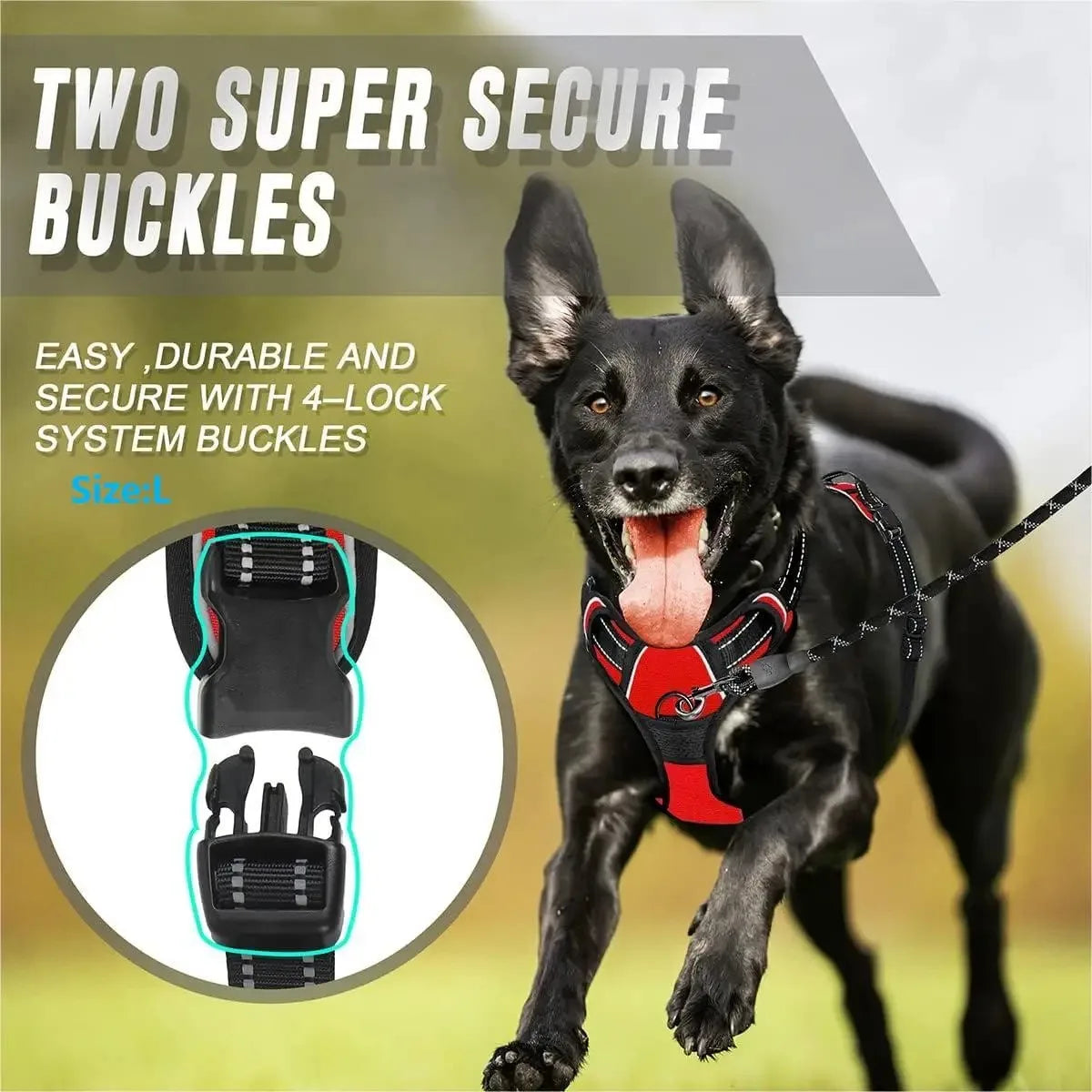 Dog Collars Harness S/M/L/XL