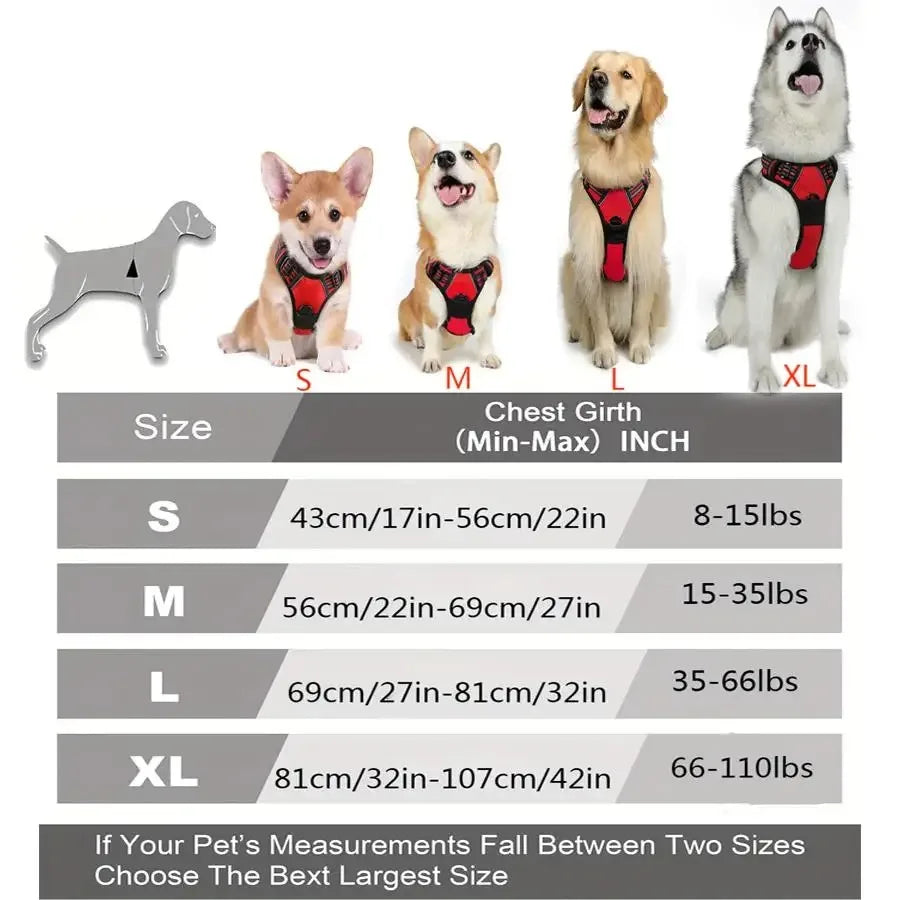 Dog Collars Harness S/M/L/XL