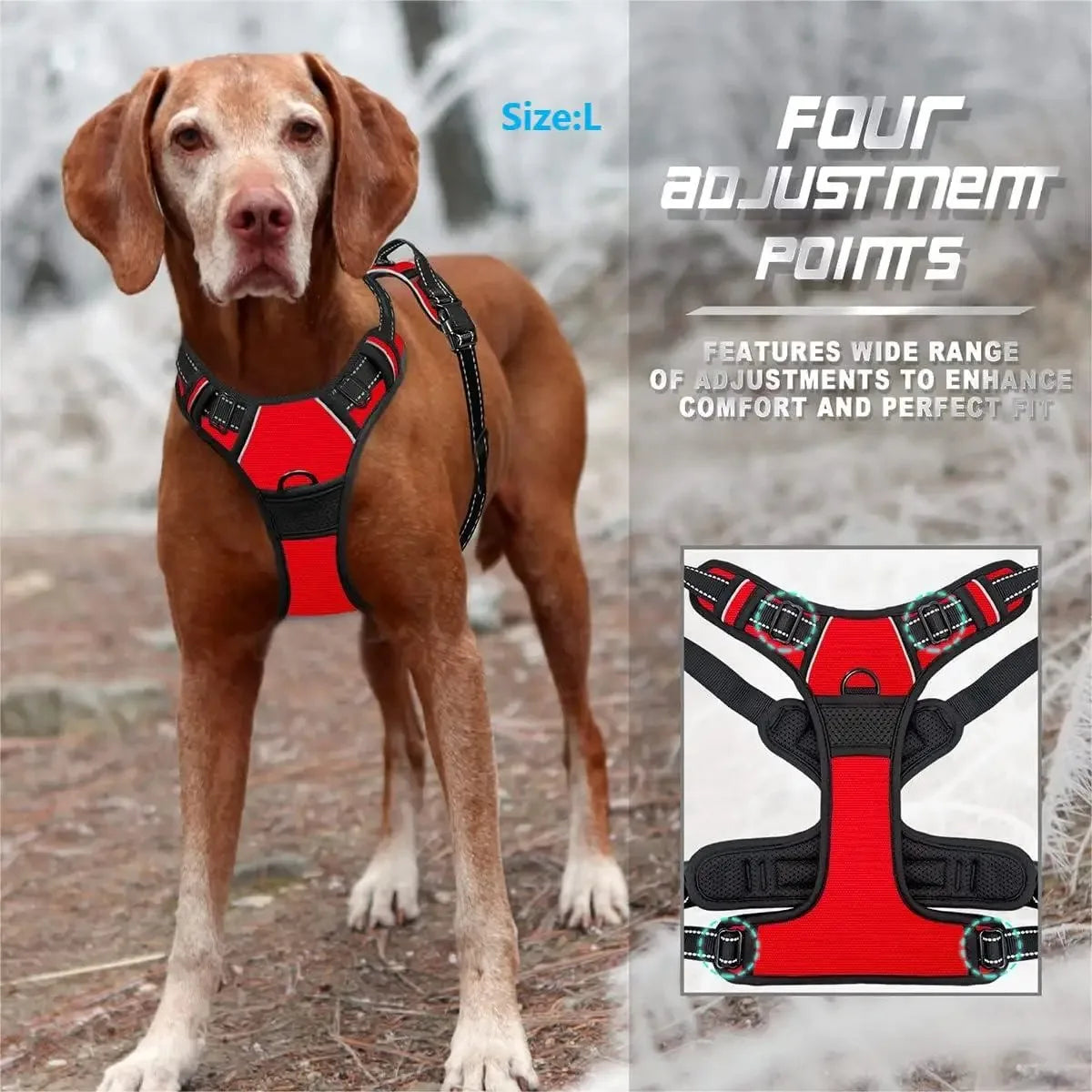 Dog Collars Harness S/M/L/XL