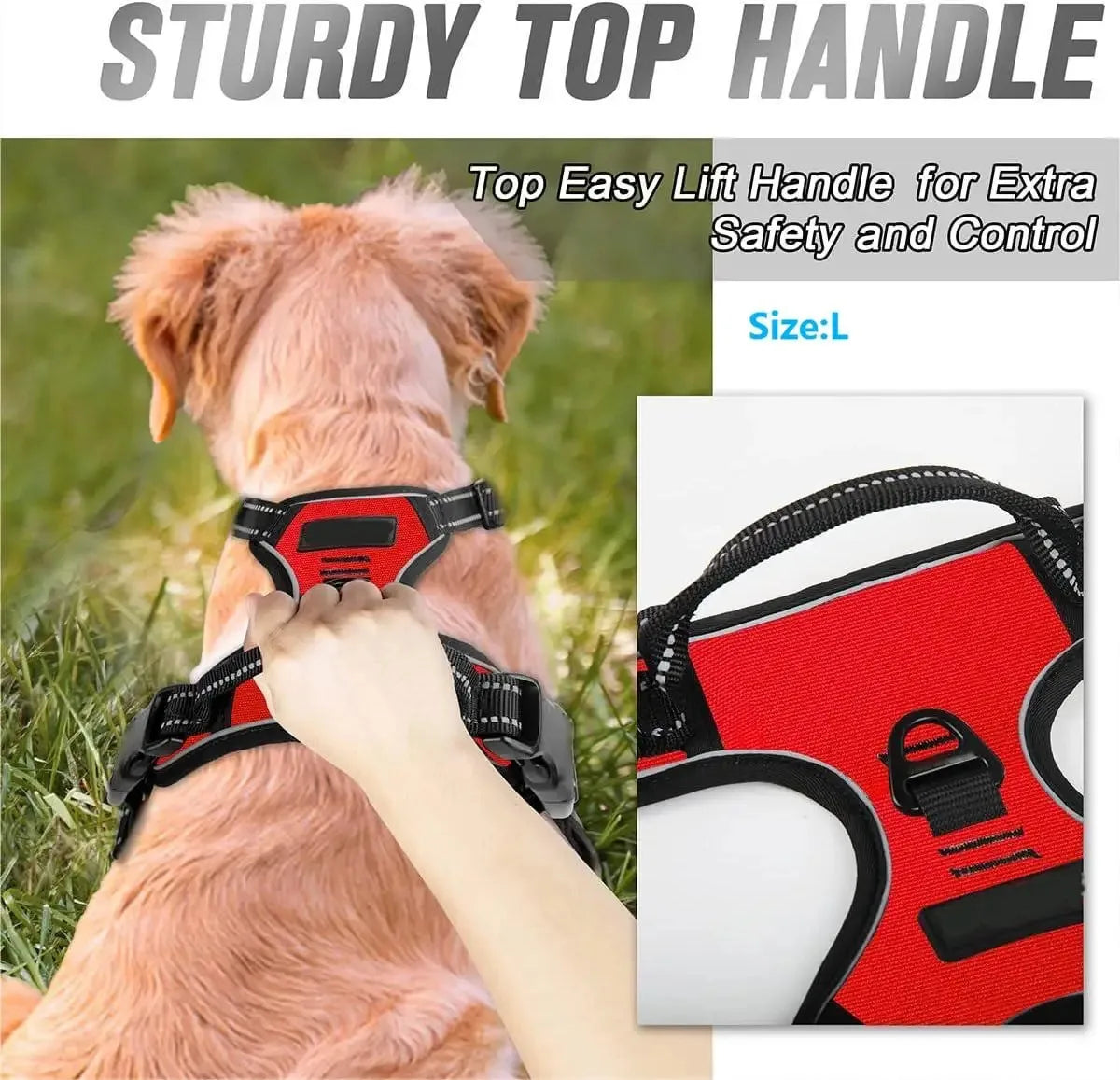 Dog Collars Harness S/M/L/XL